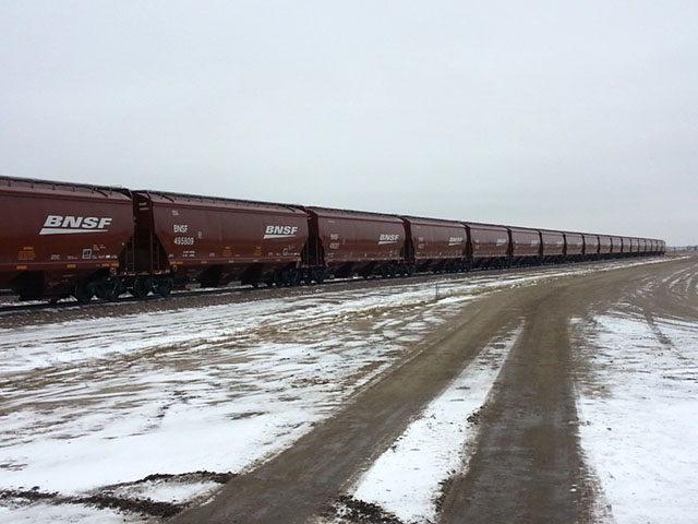 Pictured is a BNSF shuttle train. A BNSF shuttle loader in North Dakota told DTN that he knew of at least two North Dakota corn shuttles that were arbitraged in early November from the original delivery point of the Pacific Northwest to Indiana. (Courtesy photo)